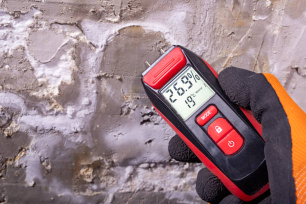 Best Toxic Mold Removal  in Boiling Springs, NC